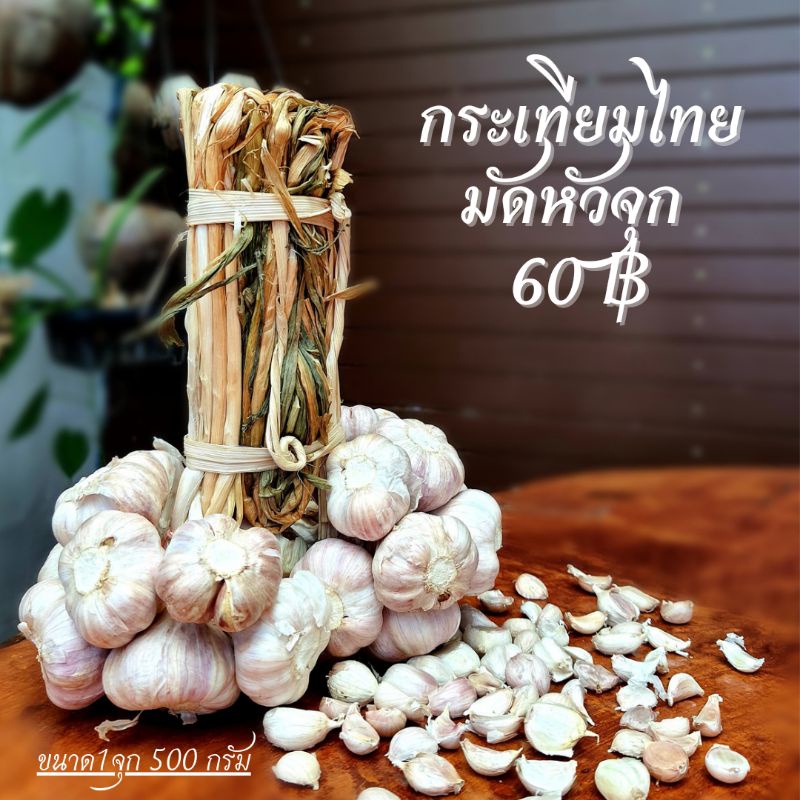 My Image 13