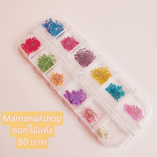 ชุดดอกไม้แห้งติดเล็บ 12สี ร้าน mamanailshop