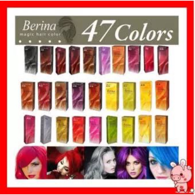 สีย้อมผม Berina A33/A34/A35/A36/A37/A38/A39/A40/A41/A42