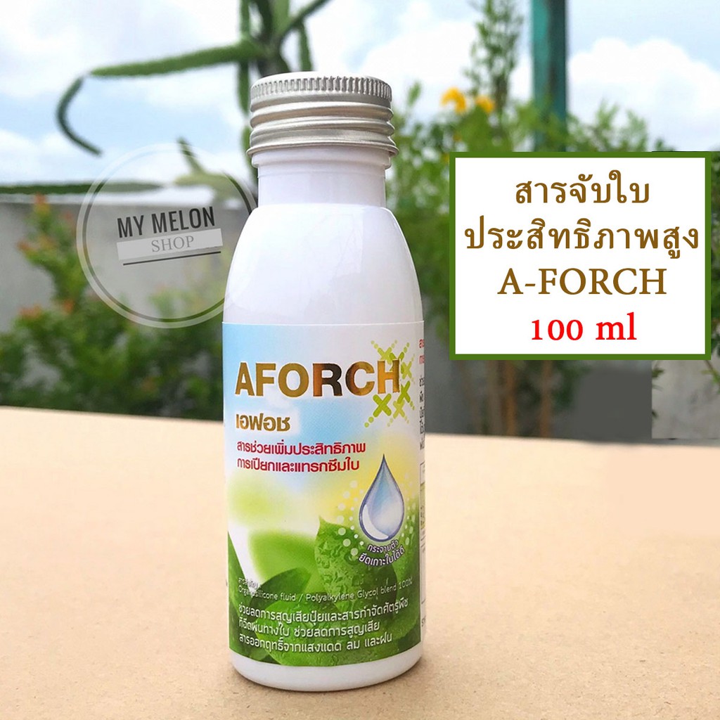AFORCH เอฟอช สารจับใบคุณภาพสูง 1,000ml ช่วยลดแรงตึงผิวของน้ำ เพิ่มประสิทธิภาพการแทรกซึม ยึดเกาะใบ