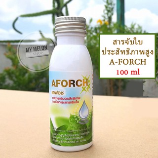 เอฟอช (AFORCH) สารจับใบคุณภาพสูง 100ml ช่วยเพิ่มประสิทธิภาพการแทรกซึมใบ