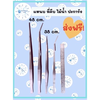 Forcep ที่คีบ แหนบ สแตนเลสปลายตรง/ปลายงอ ขนาด 38/48cm