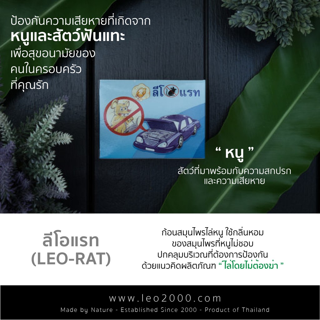 ลีโอแรท ก้อนสมุนไพรไล่หนู # Pack 10 กล่อง 20 ชิ้น ราคา ถูกที่สุด ดีลบีเคเค แกลเลอรีภาพที่ 3