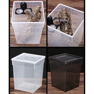 Reptile Box กล่องเลี้ยงสัตว์เล็ก สัตว์เลื้อยคลาน สัตว์เล็ก ผสมพันธุ์สดกล่อง สำหรับ แมงมุม ตุ๊กแก ฮอร์นฟรอก ตะขาบ แมงป่อง