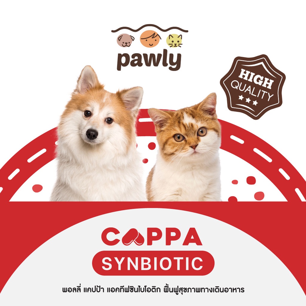 Pawly Cappa ผลิตภัณฑ์รักษาสมดุลในระบบทางเดินอาหารของสุนัขและแมว