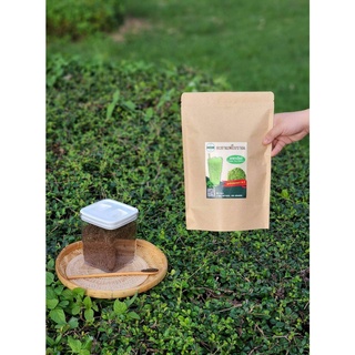 ผงชาเขียว (Green Tea Powder) ขนาด 500 กรัม (Size 500 grams) อะ กาแฟโบราณ พิษณุโลก A Coffee Phisanulok