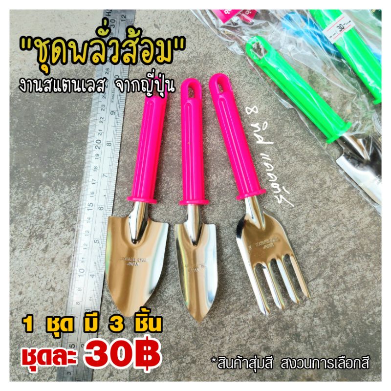 ชุดพลั่วส้อม เซ็ต 3 ชิ้น (เล็ก)(สุ่มสี) ด้ามพลาสติก // งานสแตนเลส จากญี่ปุ่น อุปกรณ์ แคคตัส กระบองเพชร