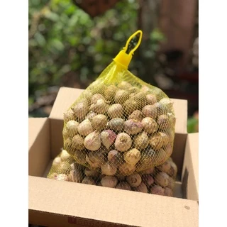 กระเทียมโทนใหญ่ 10 กก. (ขายส่ง)