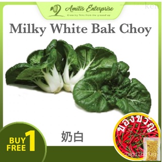 ซื้อ1ส่ง1 150Seed Nai Meat Bag Milk White Meat Bag Caixin สั้นและอ้วน Rutpa ผลไม้แตงโมพรีเมี่ยมแท้/เมล็ด/คื่นฉ่าย/สร้อยข