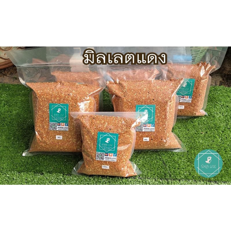 มิลเลตแดง เกรดA ชนิดเม็ด มิลเลตแดงฝรั่งเศส อาหารสำหรับนก