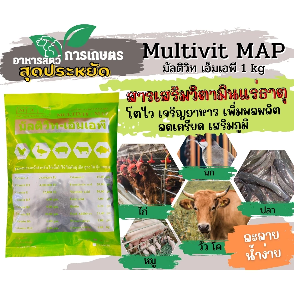 [1kg][ซองเขียว] มัลติวิท วิตามินไก่ เข้มข้น ละลายน้ำ ผสมอาหาร ไก่ไข่ ไก่เนื้อ ไก่ชน หมู ปลา นก ปลา ฟาม่าวิท เพิ่มผลผลิต