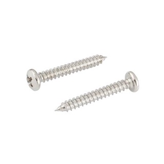 อุปกรณ์ยึดติด สกรูเกลียวปล่อย TP 8X1-1/4 นิ้ว 25 ตัว Screws, Nuts &amp; Washers