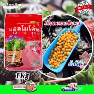 ออสโมโค้ท (Osmocote 1 Kg.) สูตร 13-13-13 สารอาหาร ปุ๋ยละลายช้า สูตร 3 เดือน ออสโมโค้ด ออสโมโคด ปุ๋ยแท้ ปุ๋ยใหม่ บำรุงต้น