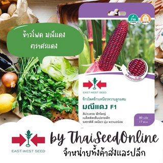 GGEW เมล็ดพันธุ์ซฟ ข้าวโพดข้าวเหนียวสีม่วง มณีแดง 80 เมล็ด ตราศรแดง Waxy corn