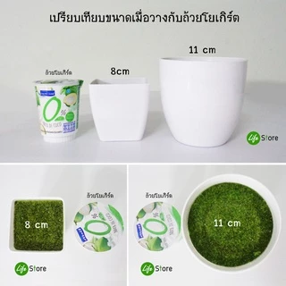 กระถาง/แจกัน พลาสติกคุณภาพดี มาพร้อมโฟม+มอส (พร้อมส่งในไทย ถึงเร็วทันใจ)