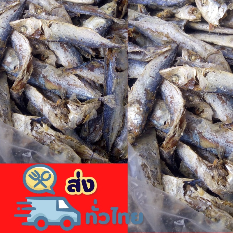 ปลาหลังเขียวตากแห้ง ขนาด 500 กรัม ปลาทะเลสงขลา สด สะอาด มีฮาลาล