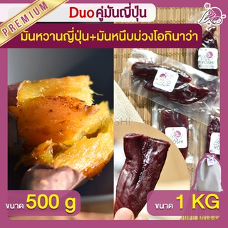 แพ็คคู่ถูกกว่า มันหวานญี่ปุ่น เบนิฮารุกะ 500g + มันหนึบม่วง 1kg  มันหวานญี่ปุ่นนำเข้า มันหนึบ โอกินาว่า