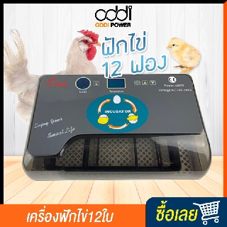 เครื่องฟักไข่ ตู้ฟักไข่ CD36 ตู้อบไข่ เครื่องฟักไข่อัตโนมัติ ตู้ฟักไข่ไก่ ฟักไข่ไก่ ไข่เป็ด ไข่ห่าน ไข่นก