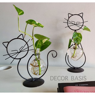 ชุดปลูกไม้น้ำทรงแมว ต้นไม้น้ำ ตกแต่งบ้าน พลูด่าง CAT decoration
