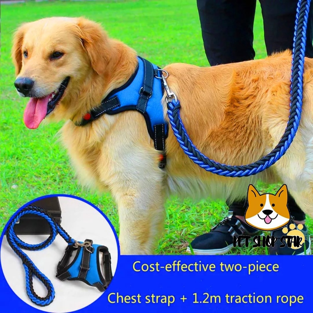 HERNESS LEAD SMALL MEDIUM LARGE DOG + PREMIUM IMPORTED STRONG ROPE