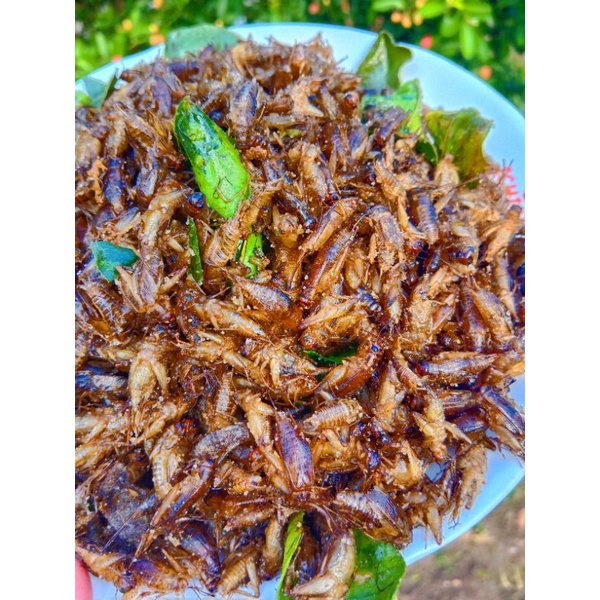 สะดิ้งไข่ทอดมันๆ แมลงทอด  สดใหม่ไม่เหม็นหืน ขนาด 100 กรัม 200 กรัม - รูปที่ 3