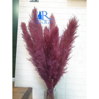 Rarin ดอกเลาย้อม สีเปลือกมังคุด  (5 ก้าน) ขนาด 90 cm. เป็นดอกไม้ธรรมชาติ ดอกฟุ้งฟิ้ง ใช้ประดับห้อง งานแต่ง DIY