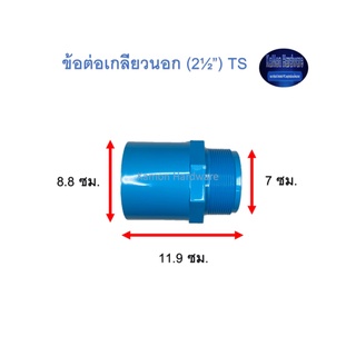 ข้อต่อเกลียวนอก ท่อน้ำไทย (2½”) Thai Pipe TS Valve Socket ฟ้า 2 1/2