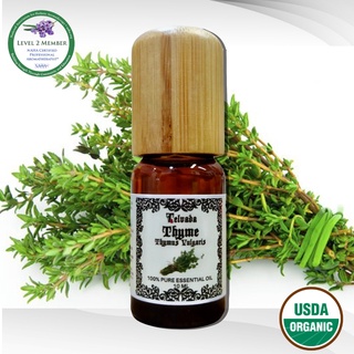 Thyme USDA Organic Essential Oil  น้ำมันหอมระเหย ใบ ไทม์ ออร์แกนิค