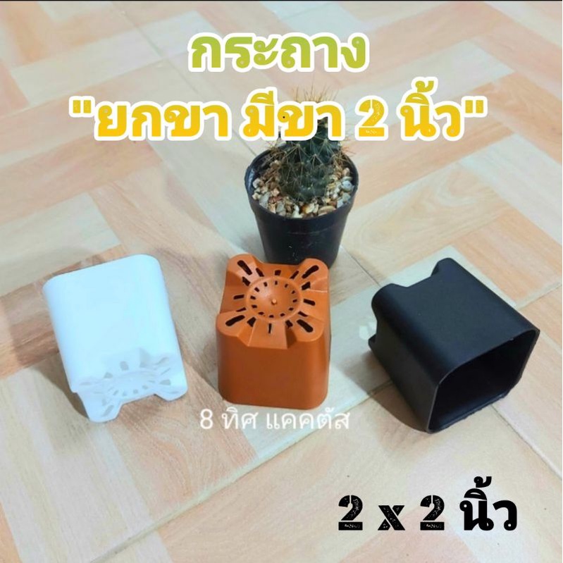 กระถาง สี่เหลี่ยมมีขา 2 นิ้ว // กด 50 ใบ 102 -- 2 นิ้ว -- กระถางยกขา แคคตัส กระบองเพชร กระถางพลาสติก