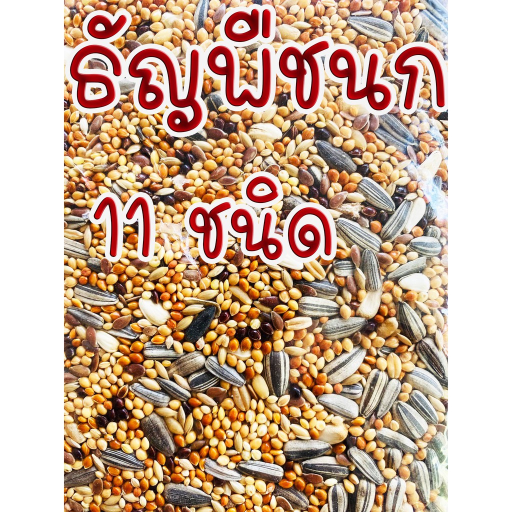 1 KG. 🌾ธัญพืช อาหารนก อาหารนกเล็ก เลิฟเบิร์ด หงหยก ฟอพัส อาหารนกแก้ว นกเขาเล็ก ข้าวนก ธัญพืชนก🌾