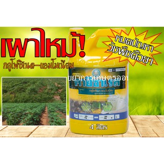 คายีซาเรส (กลูโฟซิเนต-แอมโมเนียม) 4,000 ml. ยาฆ่าหญ้า แบบเผาไหม้ บริษัท ตราหวีทอง