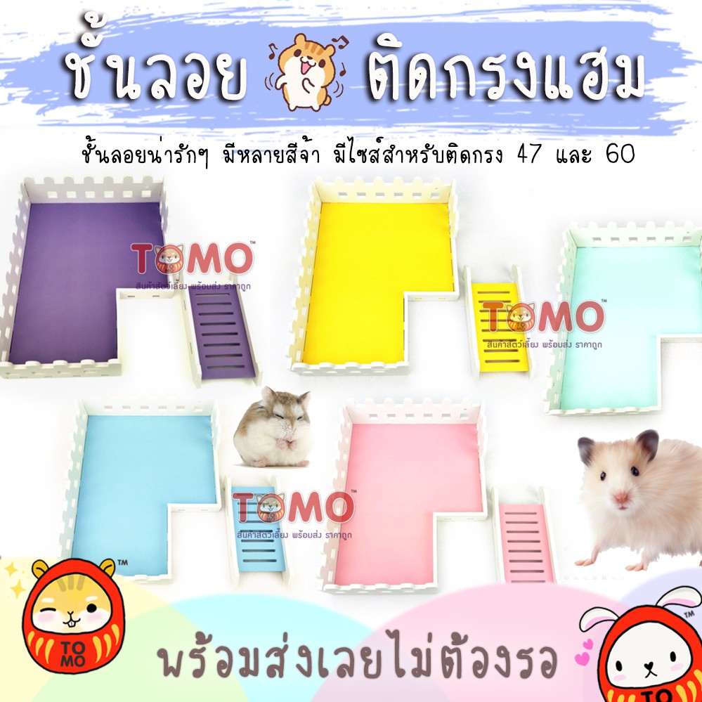 ร้านโทโมะ ชั้นลอย สีสดใส สำหรับติด กรง 47 กรง 60 ขึ้นไป สำหรับ แฮมสเตอร์ ไจแอนท์ เม่นแคระ เจอร์บิล แรท