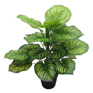 ต้น REAL MARANTA ประดิษฐ์40 ซม. ARTIFICIAL REAL MARANTA LALA HOME CH10807117 40CM