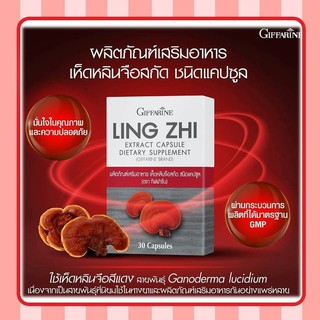 เห็ดหลินจือ แดงสกัด กิฟฟารีน LING ZHI MUSHROOM GIFFARINE | บำรุงร่างกาย บำรุงไต ต้านมะเร็ง เสริมสร้างระบบภูมิคุ้มกัน