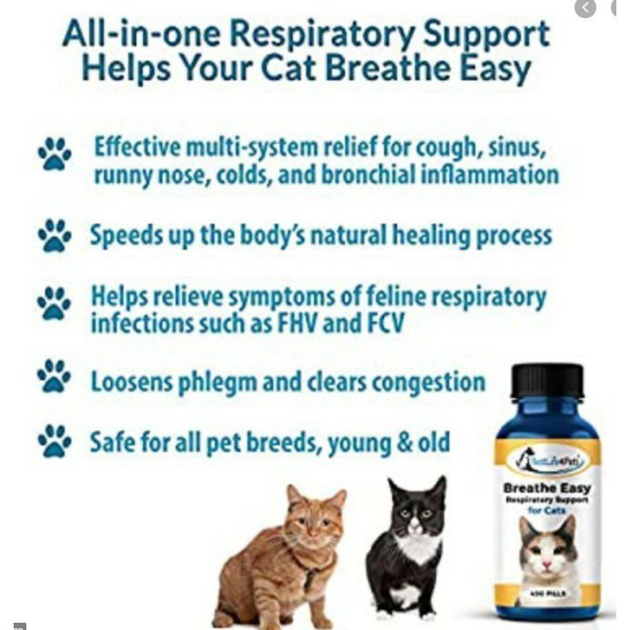 CAT Breathe Easy บรรเทา แมวเป็นหวัด ไอ จาม น้ำมูกไหล แน่นจมูก หอบ FHV FCV vetbest ThaiPick