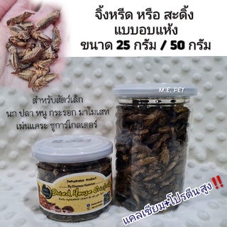 จิ้งหรีดไข่อบแห้ง/สะดิ้งอบแห้ง สำหรับนก ปลา แฮมสเตอร์ กระรอก ชูการ์ไกลเดอร์ เม่นแคระ มาโมเสท (KHUNNOO)