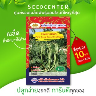 เมล็ดถั่วฝักยาวไร้ค้าง ภูเขาทอง