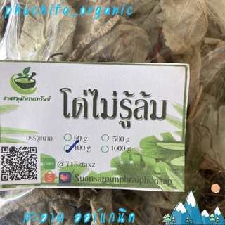 โด่ไม่รู้ล่ม ขนาด 100 กรัม รับประทานง่าย ขับปัสวะ