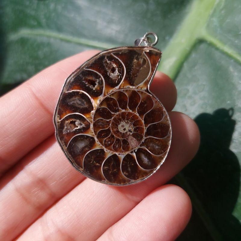 จี้ฟอสซิลแอมโมไนต์ (Ammonite Fossil Pendant)​ ภาพจากสินค้าจริง พร้อมส่ง!!