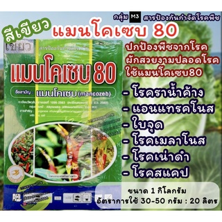 แมนโคเซบ 80 ผงเขียว ปกป้องโรคพืชได้หลากหลายชนิด สร้างความต้านทานโรคให้พืช