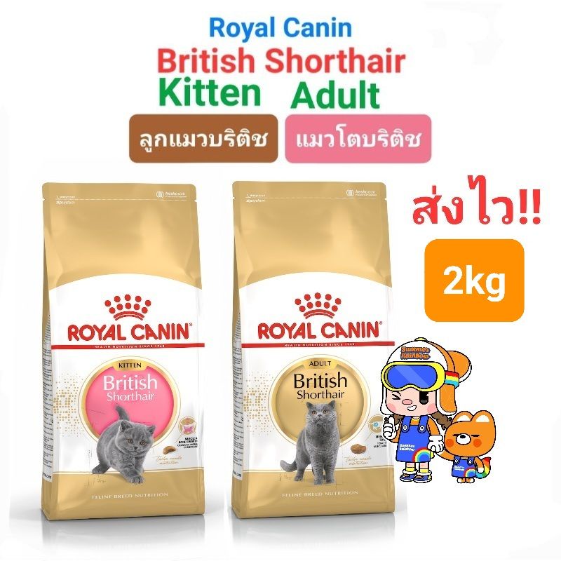 Royal Canin British Shorthair Kitten 2kg ลูกแมวบริติช โรยัลคานนิน British Shorthair Adult 2kg แมวโตบริติช 2 กก.