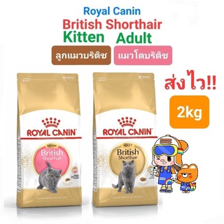 Royal Canin British Shorthair Kitten 2kg (Exp.07/24) / British Shorthair Adult (Exp.08/24) แมวโต ลูกแมว บริติช ถุง 2 กก