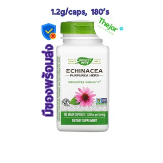 Echinacea 1,200 mg พร้อมส่ง กป 180 caps Natures Way🐱‍👤