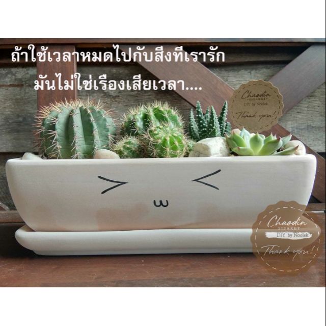 กระถางดินเผา ทรงเปลใหญ่ จัดสวนถาด
