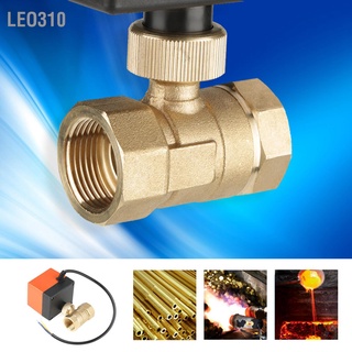 Leo310 Ac 220V G3/4" Dn20 วาล์วบอลกระตุ้นมอเตอร์ทองเหลือง 2 ทาง สําหรับเครื่องปรับอากาศ