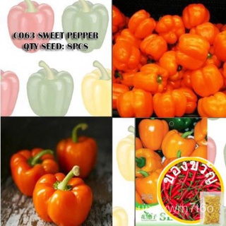 SWEET PEPPER SPECIES SEEDS FLOWER GODDESS VEGETABLE FLOWER FRUIT HERB SEED儿童/花园/鲜花/上衣/生菜/向日葵/园艺/内裤/帽子/玫瑰/ 1533