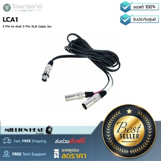 Townsend Labs : LCA1 by Millionhead (สาย XLR Y ยาว 3 เมตร ตัวสัญญาณรับ 1 ตัวส่งสัญญาณ 2)