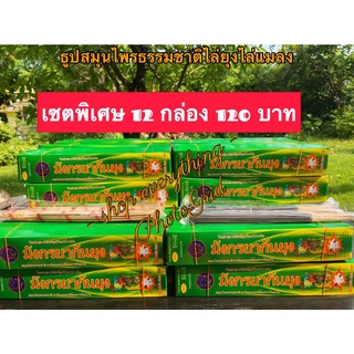 ธูปไล่ยุง ธูปกำจัดยุง ธูปสมุนไพรไล่ยุง 12 กล่อง 120บาท ไล่ยุง ปลอดภัยต่อสุขภาพ ยี่ห้อ มังกรยากันยุง เห็นผลแน่นอน