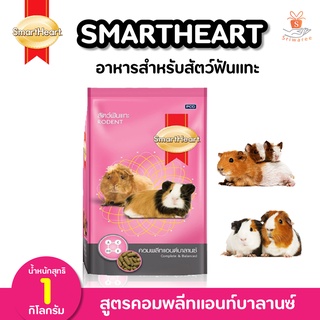 ✨Smartheart Rodent 1 kg. สมาร์ทฮาร์ท อาหารสำหรับสัตว์ฟันแทะ หนูตะเภา หนูแกสบี้  และชินชิลล่า สูตรคอมพลีทแอนด์บาลานซ์