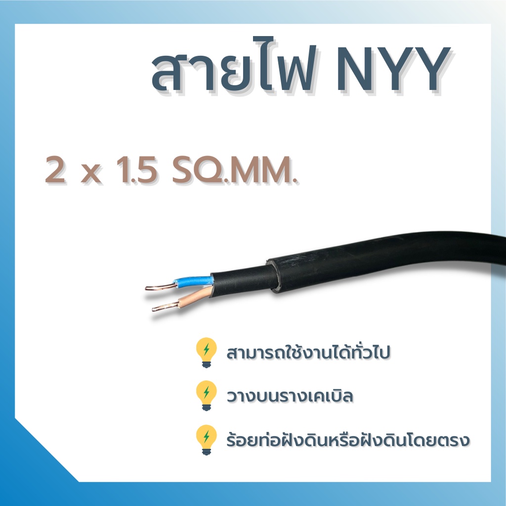 Yazaki สายไฟ Nyy 2Core 1.5,2.5,4 Sqmm. (แบ่งตัด 10M/หน่วย) 450/750 V 70ºc  Solid And Stranded Conductor Pvc Insulated | Shopee Thailand